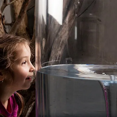 Гостевой дом Agerhof Зёлль