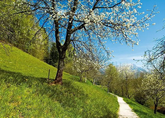 Гостьовий будинок Agerhof Зелль